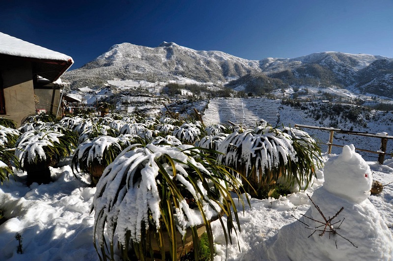 What is beautiful about traveling to Sapa during Tet 22 whatisbeautifulabouttravelingtosapaduringtet11
