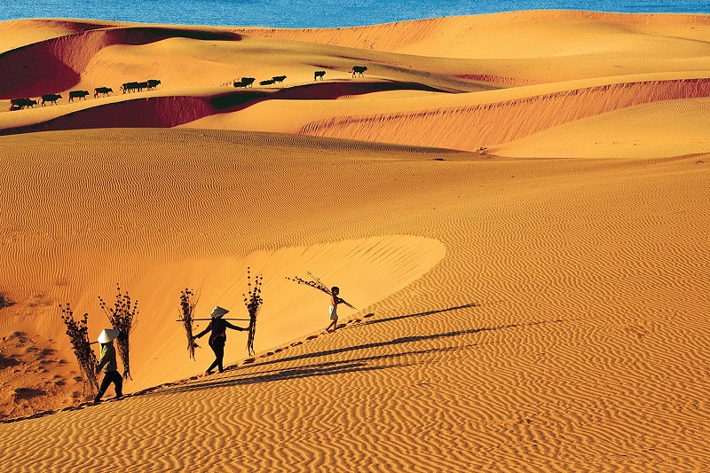 Tour Du Lịch Phan Thiết 3 Ngày 2 Đêm Tết 1 tourdulichphanthiet3ngay2demtet1