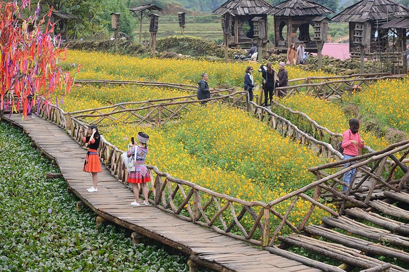 Kinh nghiệm du lịch Sapa tết 11 kinhnghiemdulichsapatet1