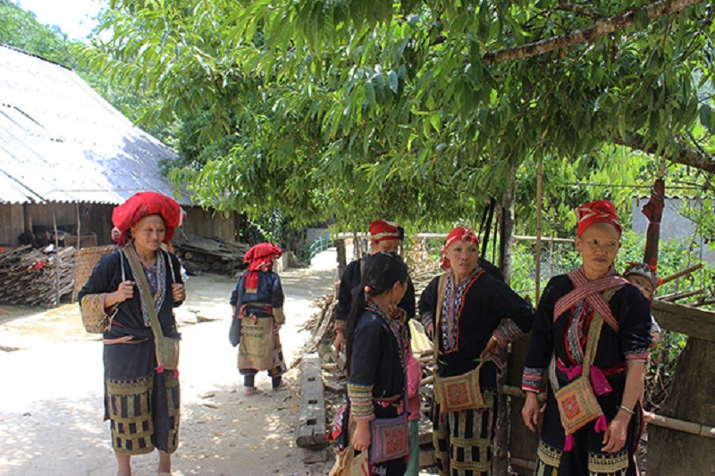 Kinh nghiệm du lịch Sapa tết 15 kinhnghiemdulichsapatet5