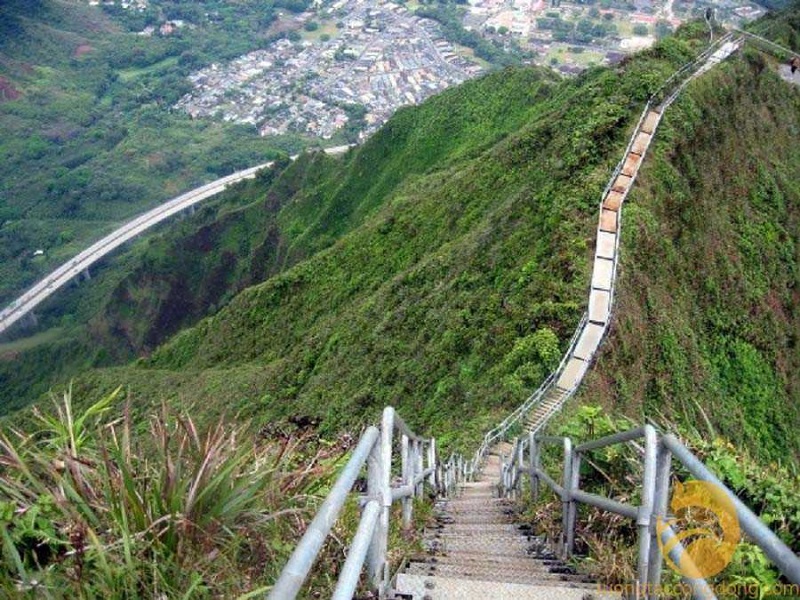 kinh nghiệm du lịch Tam Đảo tết 21 kinhnghiemdulichtamdaotet6
