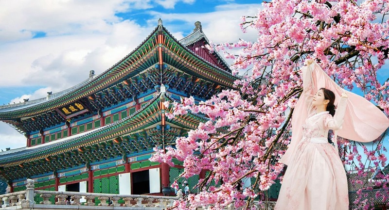 Tour Du Lịch Hàn Quốc 5 Ngày 4 Đêm Mùa Hoa Anh Đào (Bay Vietnam Airlines) 2 tourduichhanquoc5ngay4demmuahoanhdao2