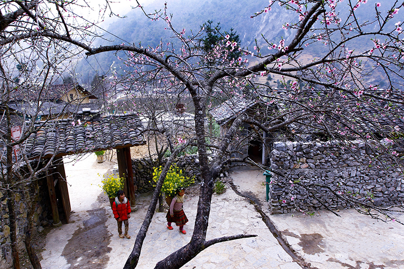 Tour Du Lịch Hà Giang 3 Ngày 2 Đêm Tết 2 tourdulichhagiang3ngay2demtet2