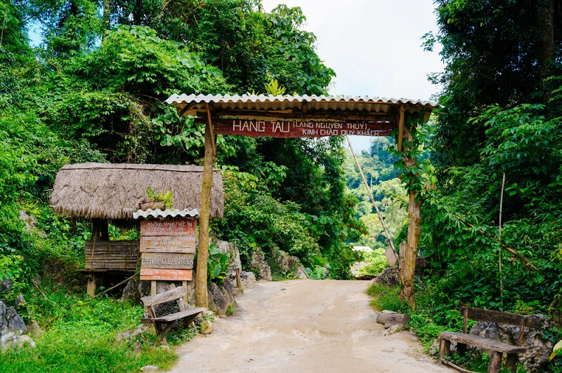 Tour Du Lịch Mộc Châu 2 ngày 1 Đêm Tết 1 tourdulichmocchau2ngay1demtet1