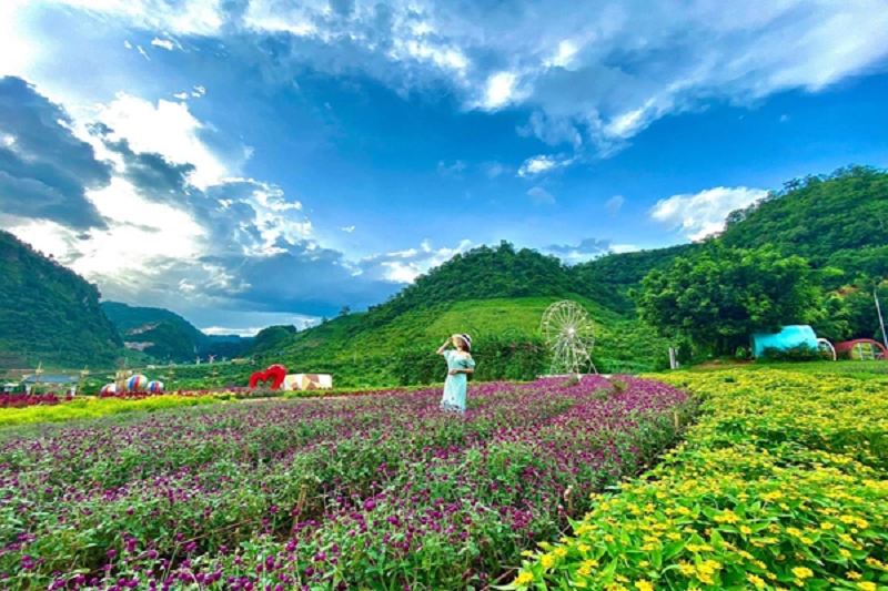 Tour Du Lịch Mộc Châu 2 ngày 1 Đêm Tết 2 tourdulichmocchau2ngay1demtet2