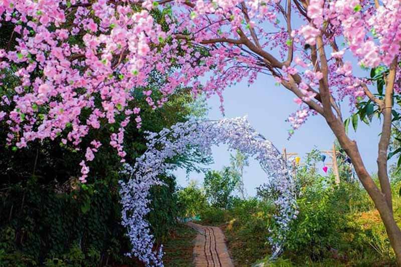 Tour Tây Thiên Tam Đảo 1 Ngày 2 tourtaythientamdao 1 ngay