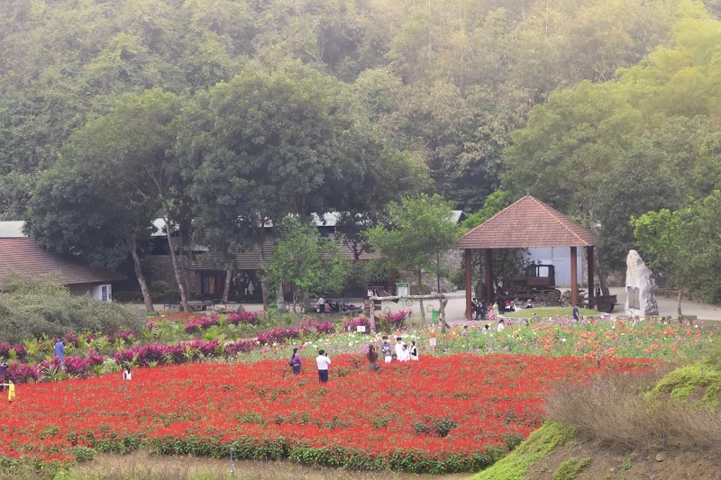 Ngắm mùa hoa Thung Nham 13 ngammuahoathungnham4