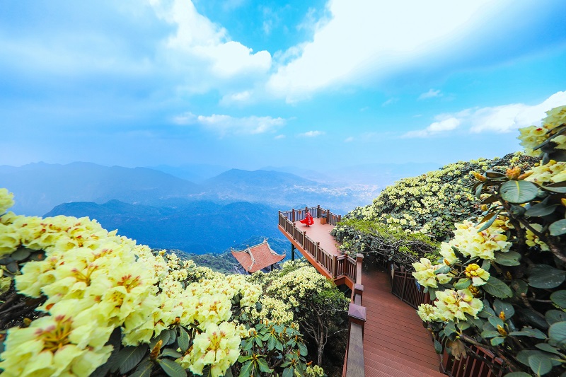 Du lịch Sapa tháng 4 có gì đẹp 25 didulichsapathang4cogidep
