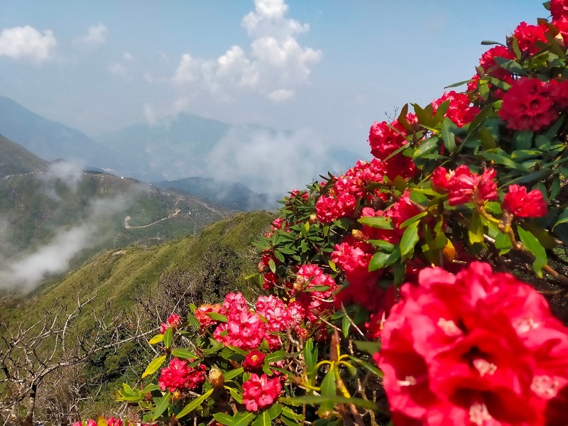 Du lịch Sapa tháng 4 có gì đẹp 9 didulichsapathang4cogidep1
