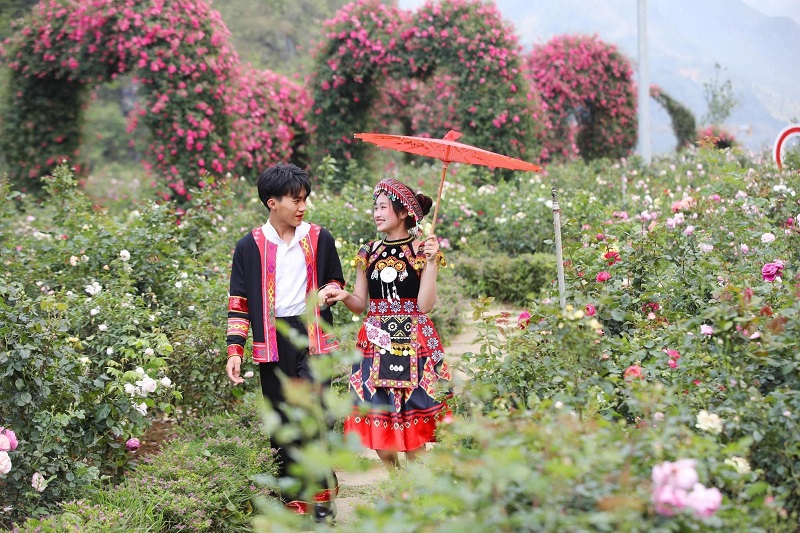 Lễ hội hoa hồng Fansipan Sapa 16 lehoihoahongfansipansapa