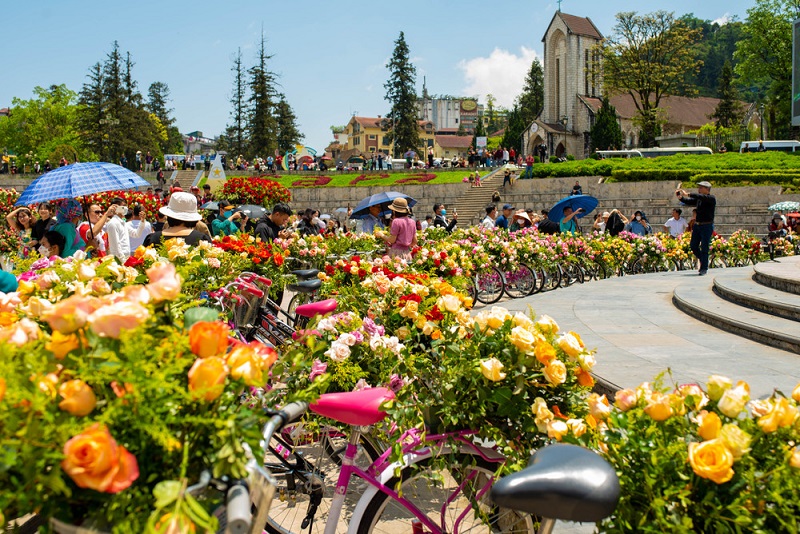 lehoihoahongfansipansapa2