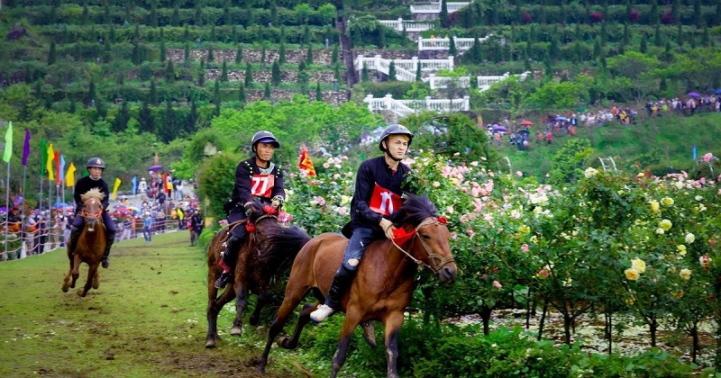 lehoihoahongfansipansapa7