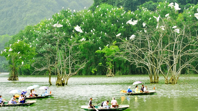 Ninh Binh Tourism in April 14 ninhbinhtourisminapril5