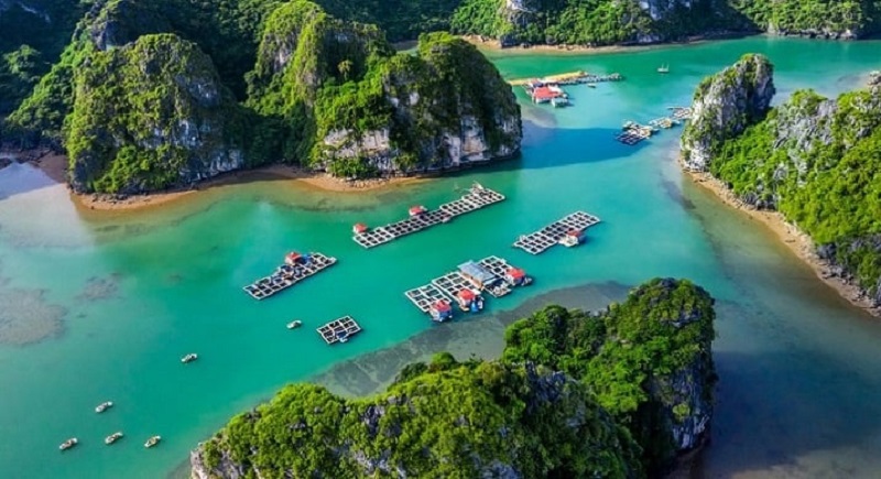 Top 10 điểm du lịch Hạ Long 17 top10diemdulichhalong7