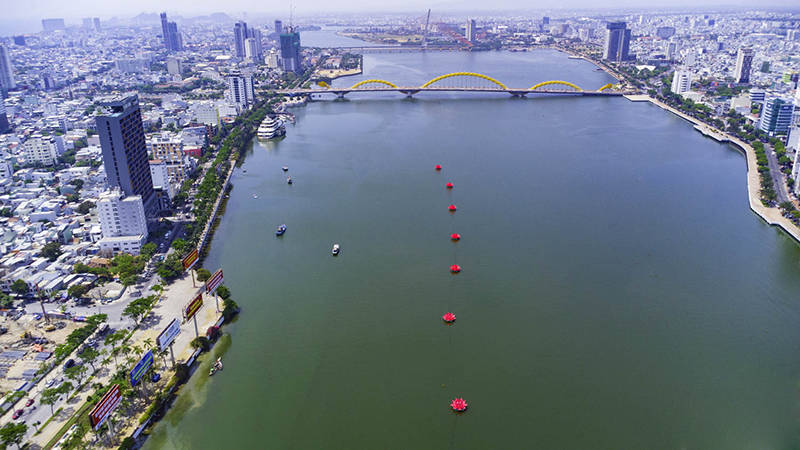 Seven lotus flowers on the Han River 9 sevenlotusflowersonthehanriver1