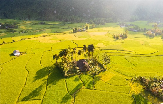 HA GIANG – CAO BANG EASY RIDER – 5 DAYS