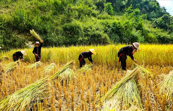 HA GIANG – CAO BANG EASY RIDER – 5 DAYS 8 HA GIANG – CAO BANG EASY RIDER – 5 DAYS