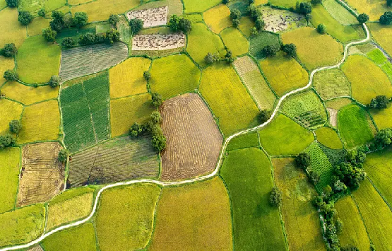 EXPLORING THE NORTH OF THE RED RIVER