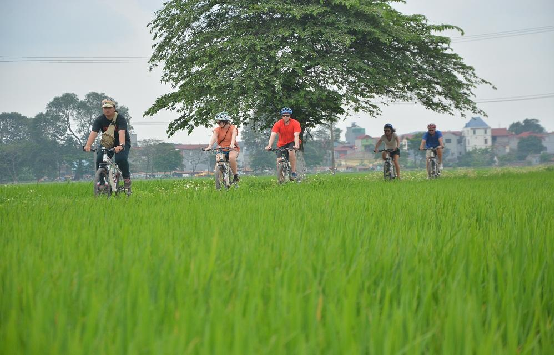 Hanoi Bicycle Tours Explore The Red River Delta
