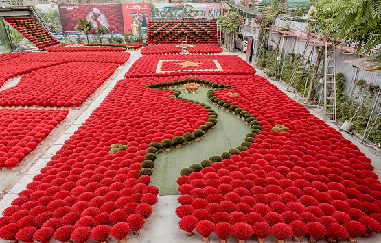 Hanoi Food Tour And Incense Stick Making Village Experience 2 Hanoi Food Tour And Incense Stick Making Village Experience