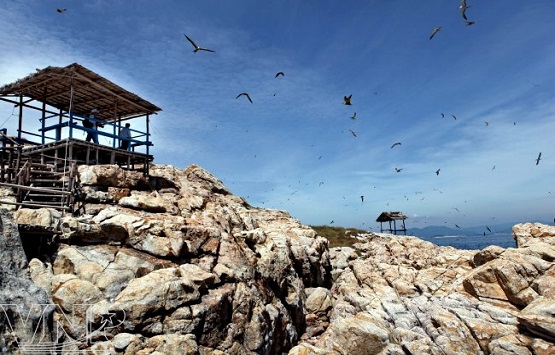 DISCOVER NHA TRANG CITY TOUR