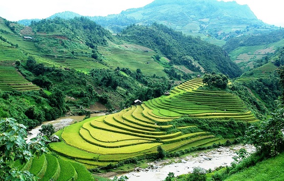 Hanoi To Mu Cang Chai 