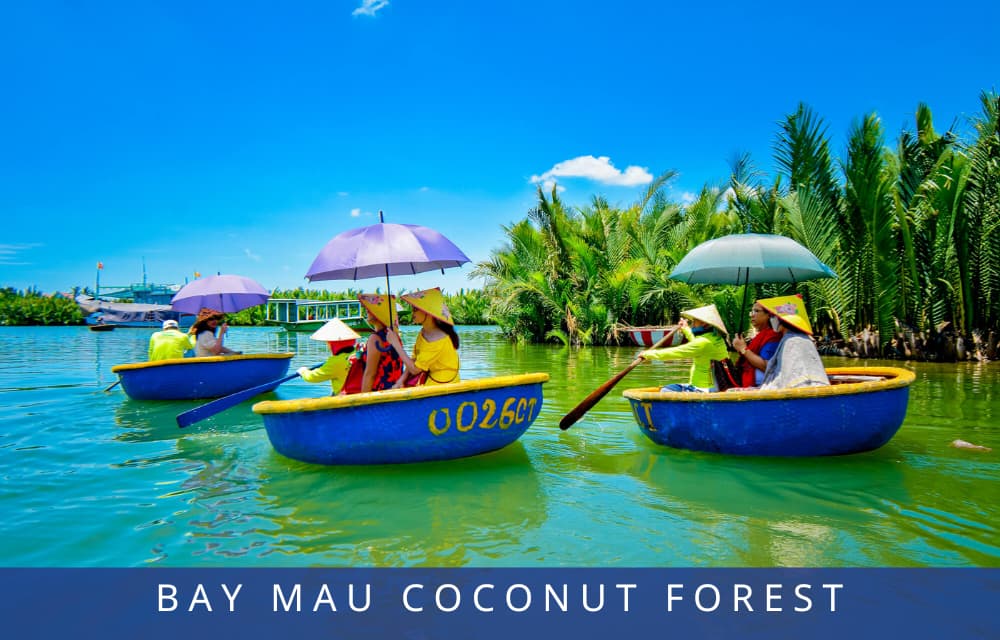 Bay Mau Coconut Fores