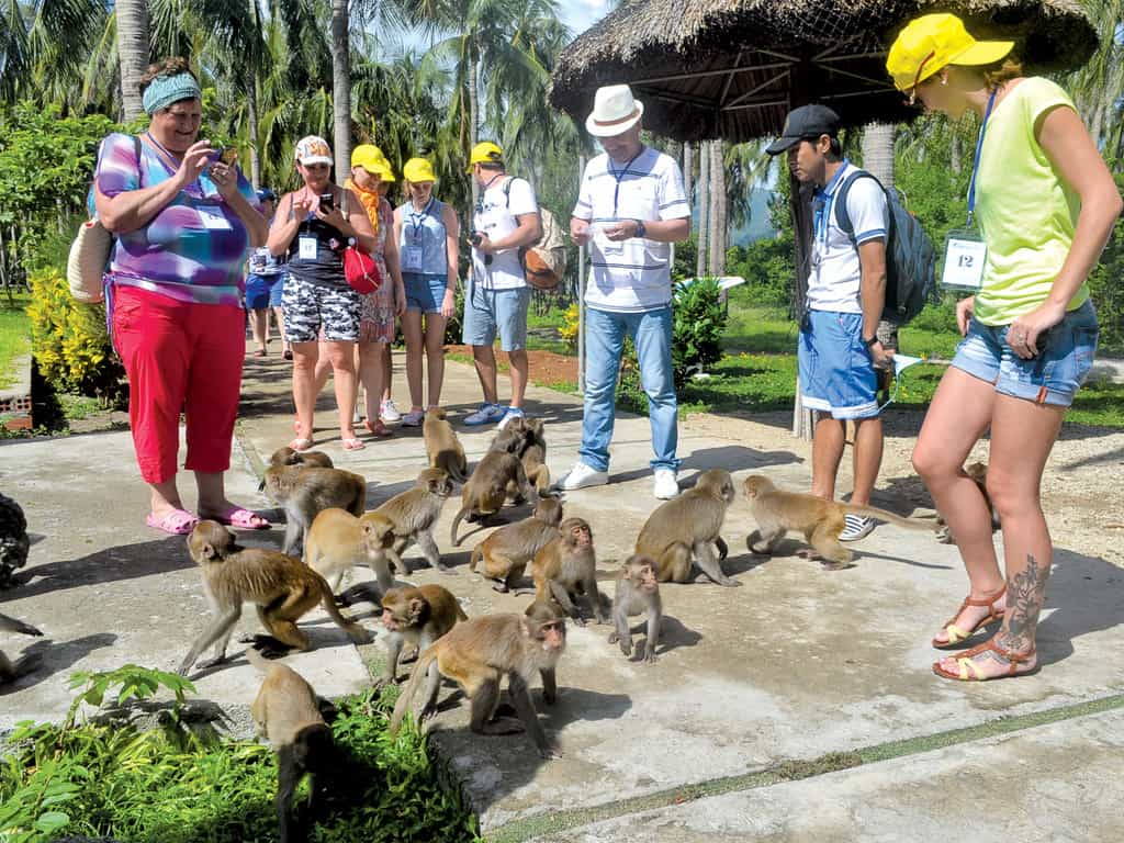 The Ultimate Self Guided Travel Guide To Monkey Island Nha Trang 7 Monkey Island Nha Trang