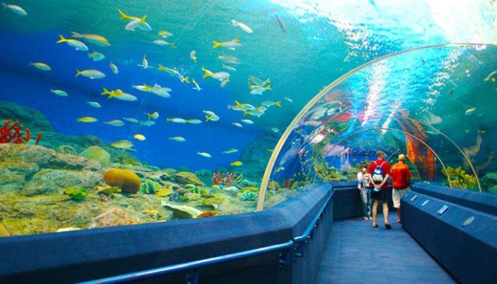 National Oceanographic Museum Of Nha Trang