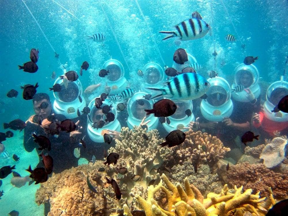 Hon Mun Scuba Diving And Sea Walking 7 sea walking 2