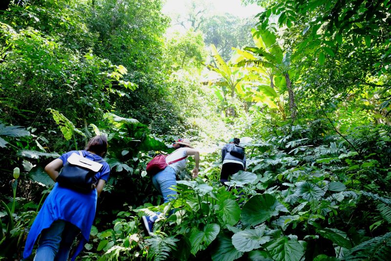 Top 7 Mountains In Vietnam 15 ba vi mountain