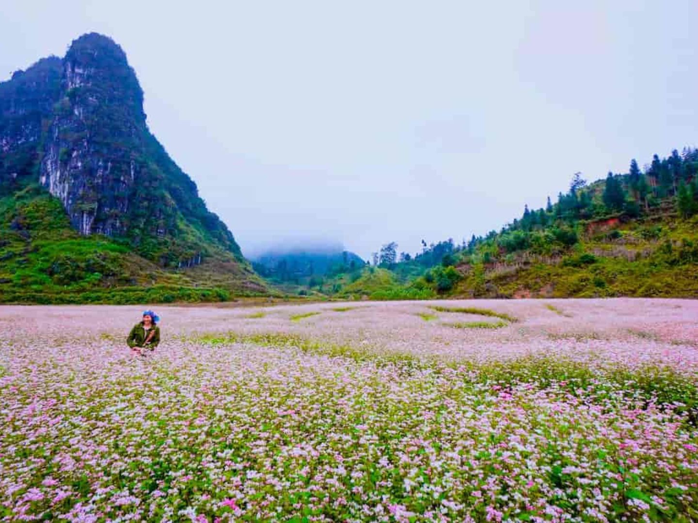 When Is The Best Time To Visit Ha Giang? 5 When Is The Best Time To Visit Ha Giang?