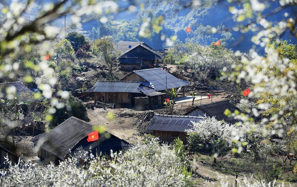 Best Seasonal Highlights in Northwest Vietnam