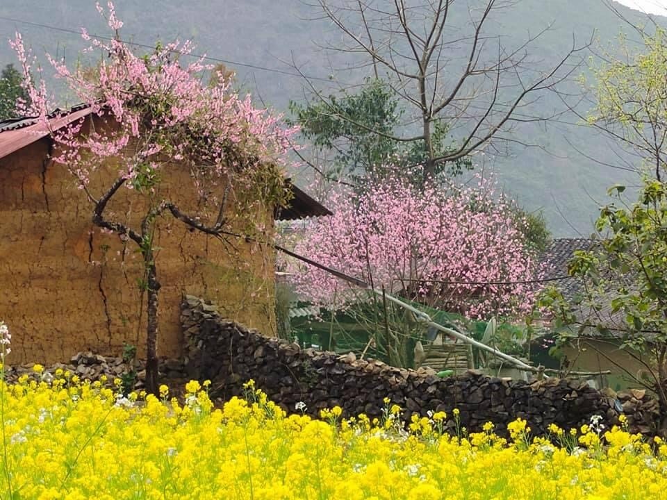 Best Seasonal Highlights In Northwest Vietnam