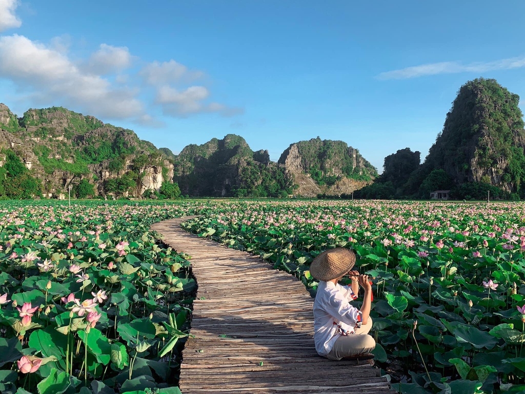 The Best Lotus Viewing Spots In Ninh Binh