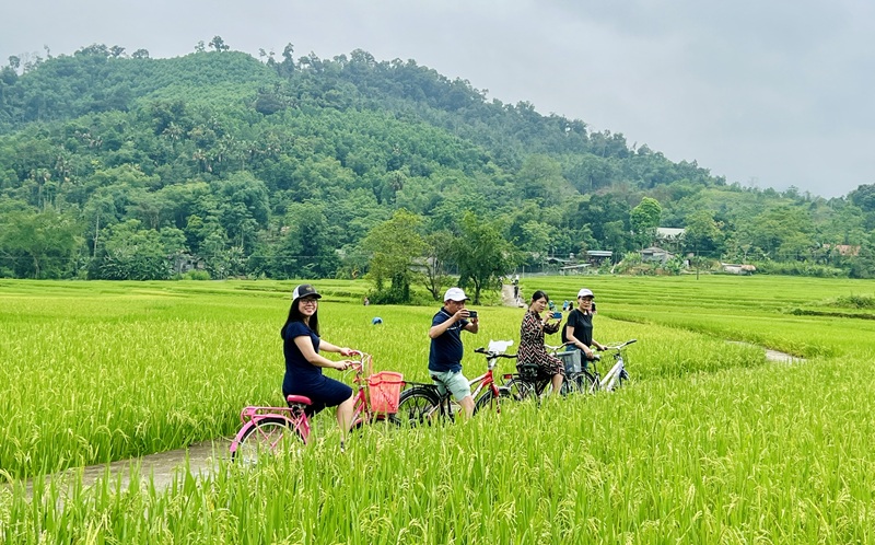 Half-Day Tour Conical Hat Making, Cooking Class And Cycling 4 tourlangnon3